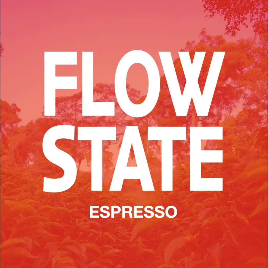 PLOT Roasting FLOW STATE Espresso