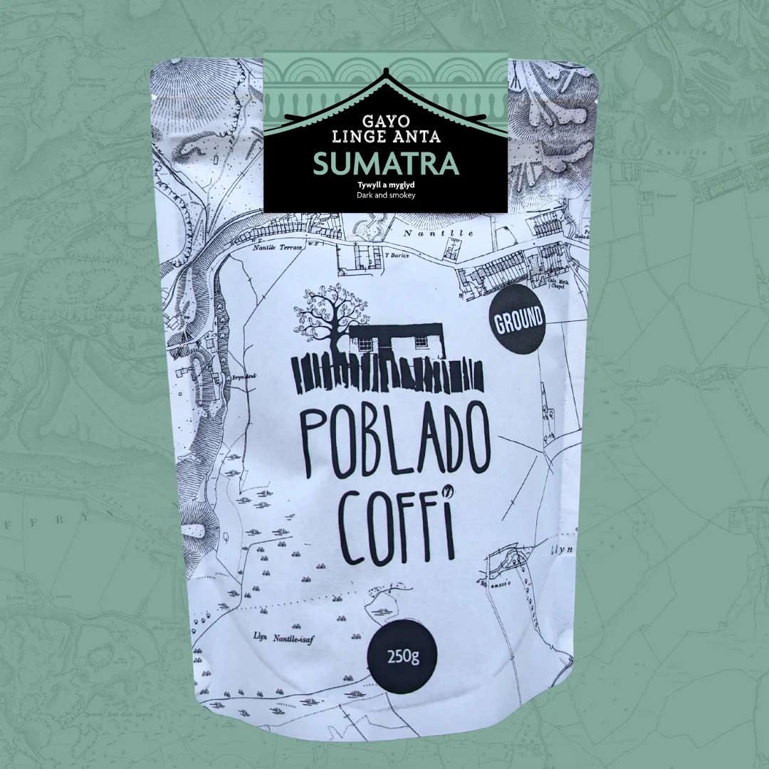 Asia Sumatra Gayo Linge Anta