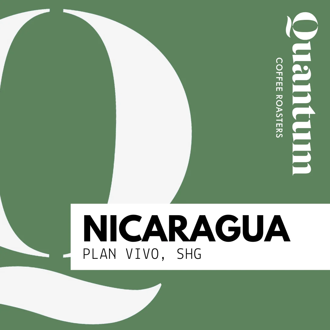 Quantum Coffee Roasters Nicaragua