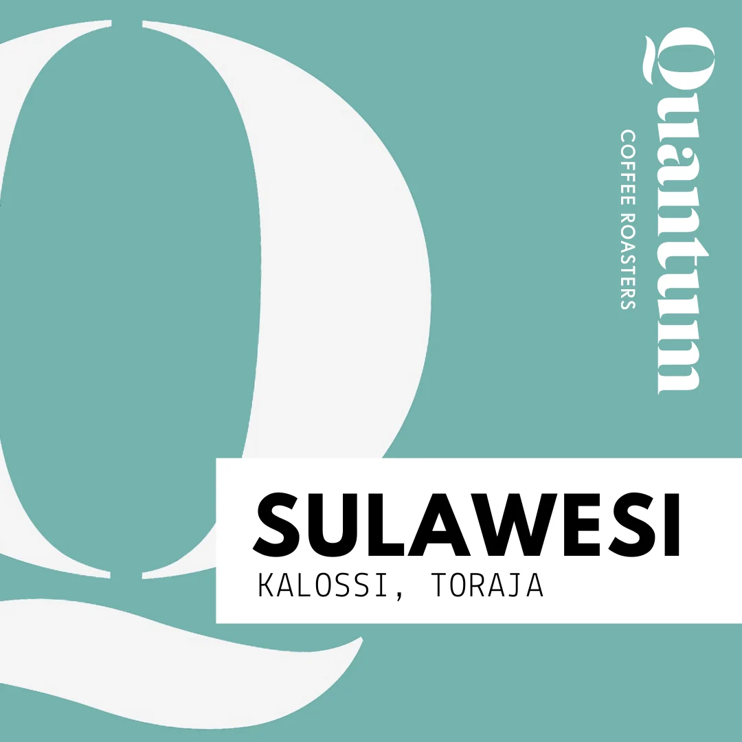 Quantum Coffee Roasters Sulawesi