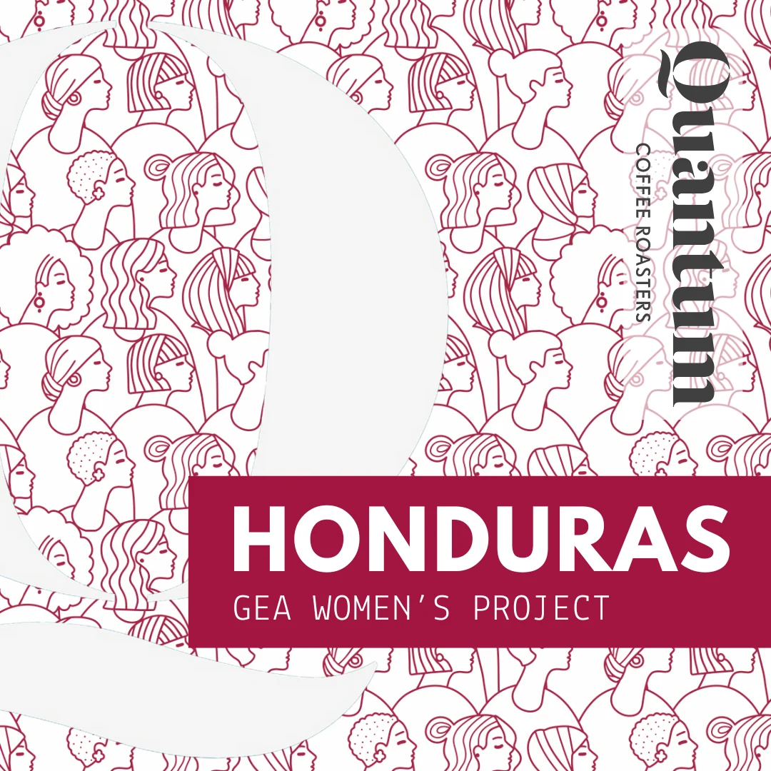 Quantum Coffee Roasters Honduras