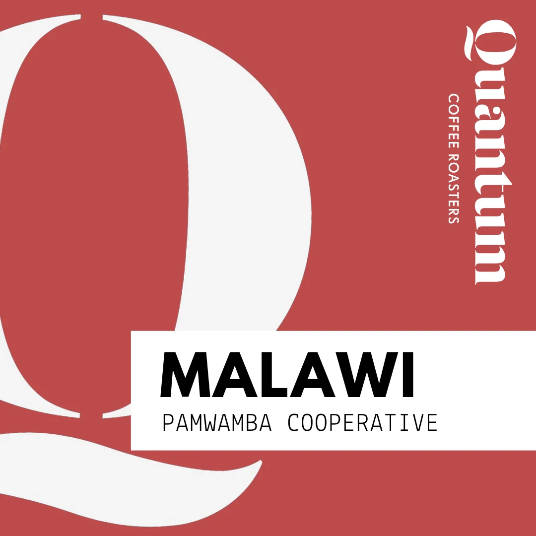 Quantum Coffee Roasters Malawi Pamwamba Cooperative