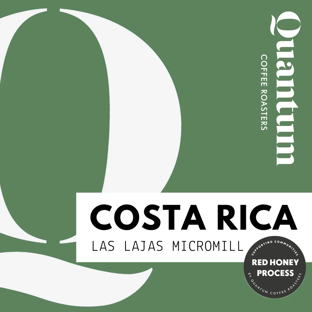 Quantum Coffee Roasters Costa Rica