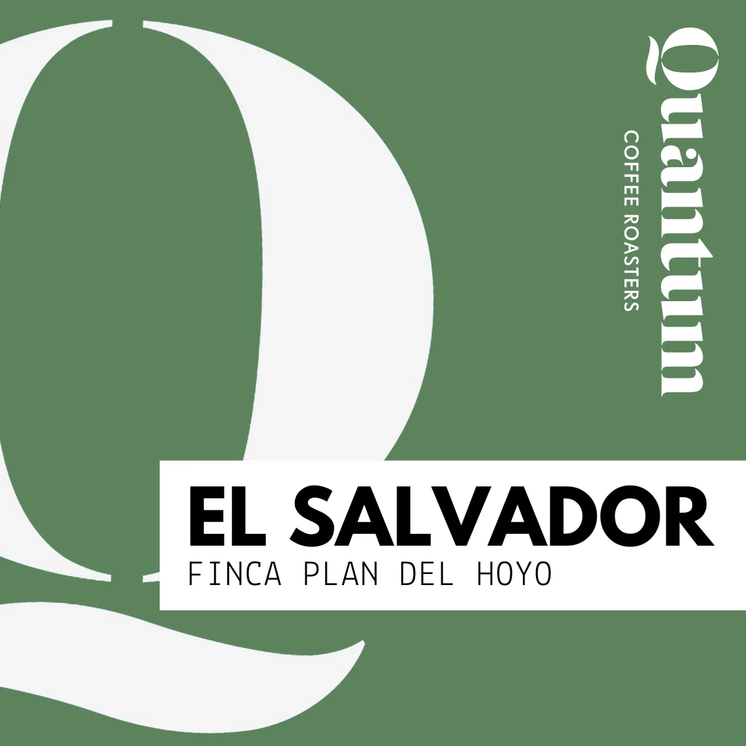 Quantum Coffee Roasters El Salvador