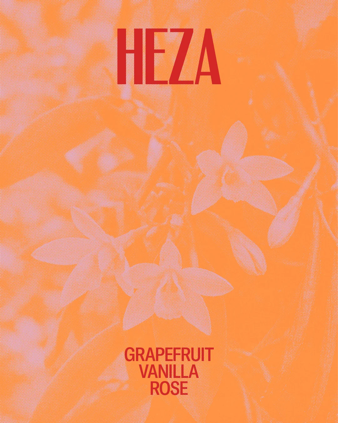 Red Bank Coffee Roasters Heza