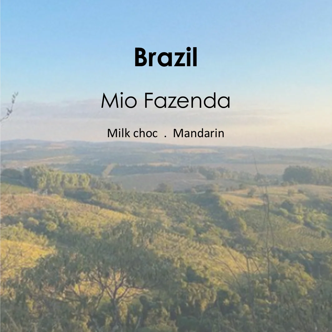 River City Coffee UK Brazil