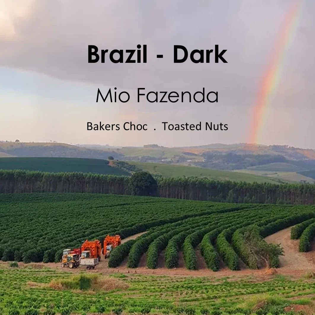 River City Coffee UK Brazil