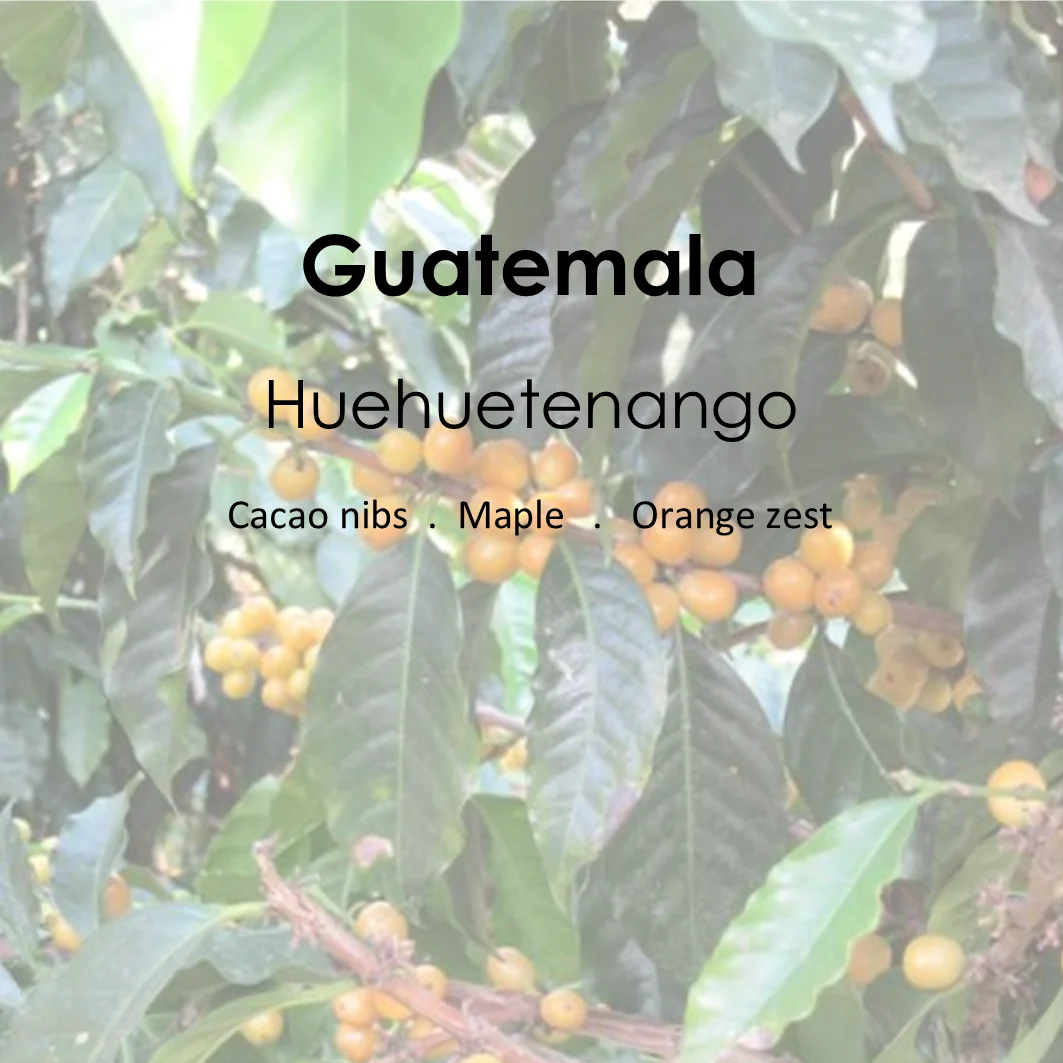River City Coffee UK Guatemala