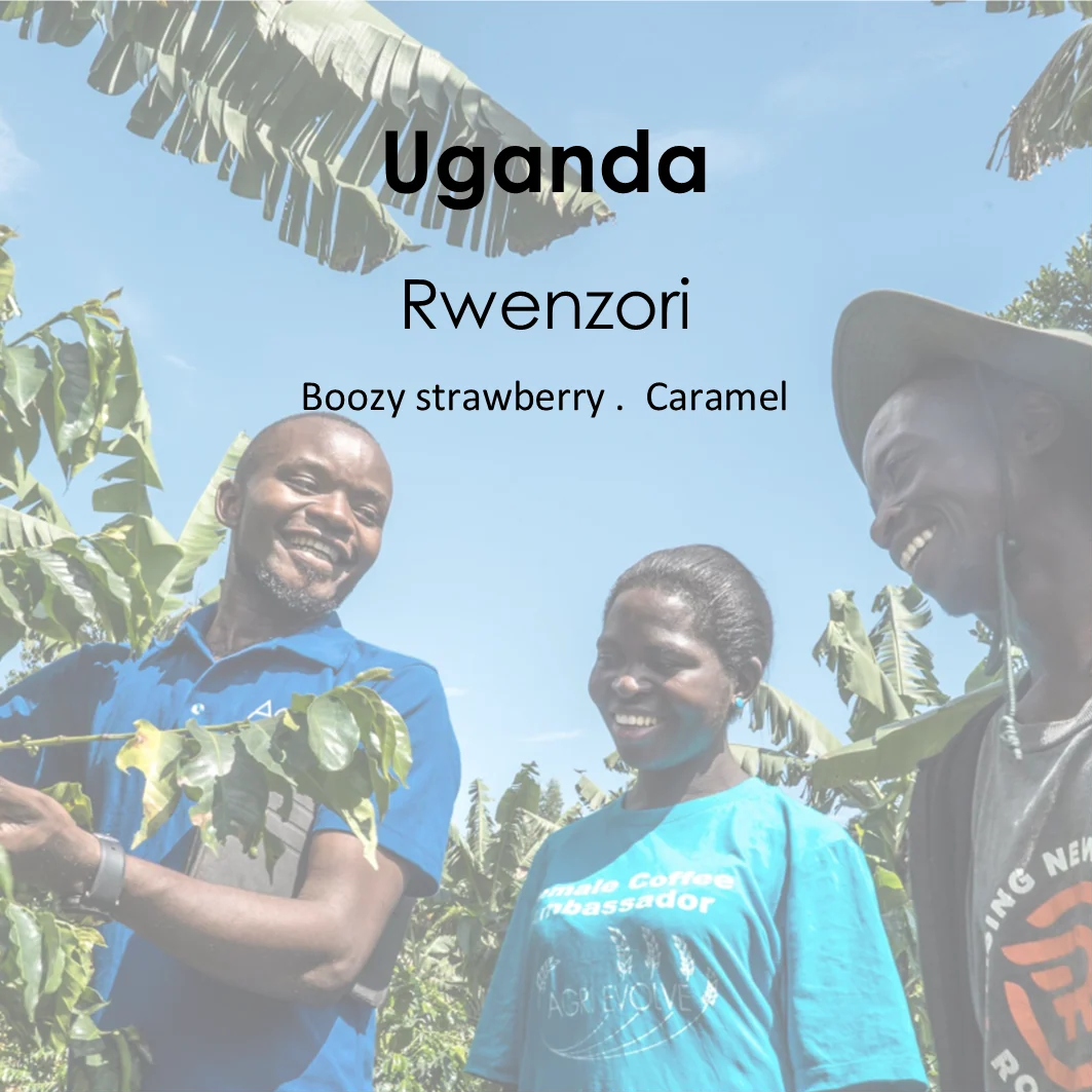 River City Coffee UK Uganda