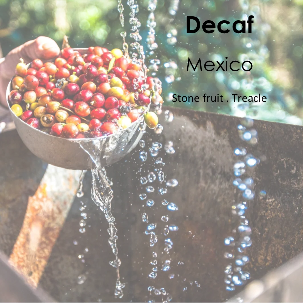 River City Coffee UK Decaf