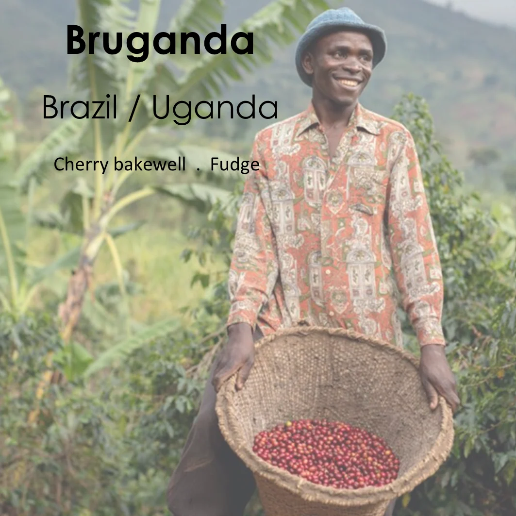 River City Coffee UK Bruganda