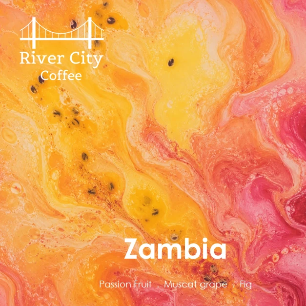 River City Coffee UK Zambia Lupili