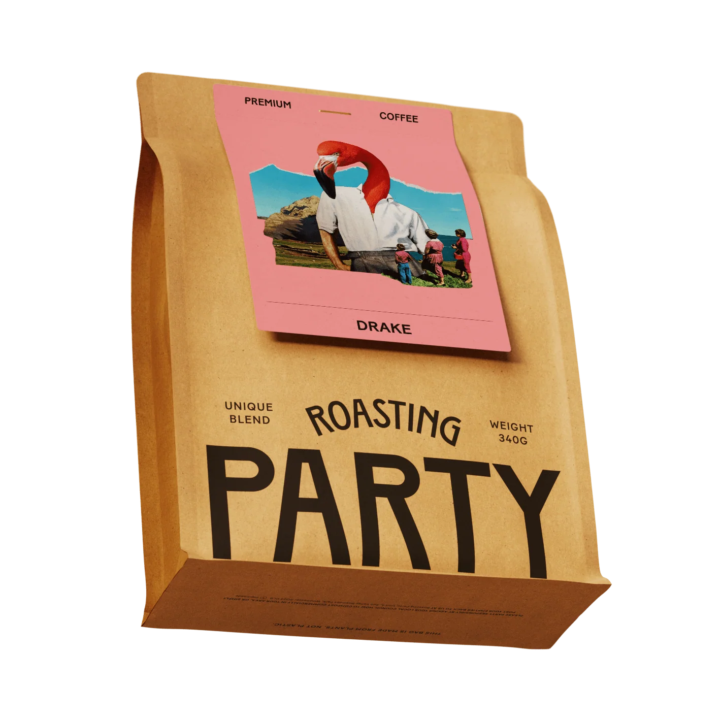The Roasting Party Drake