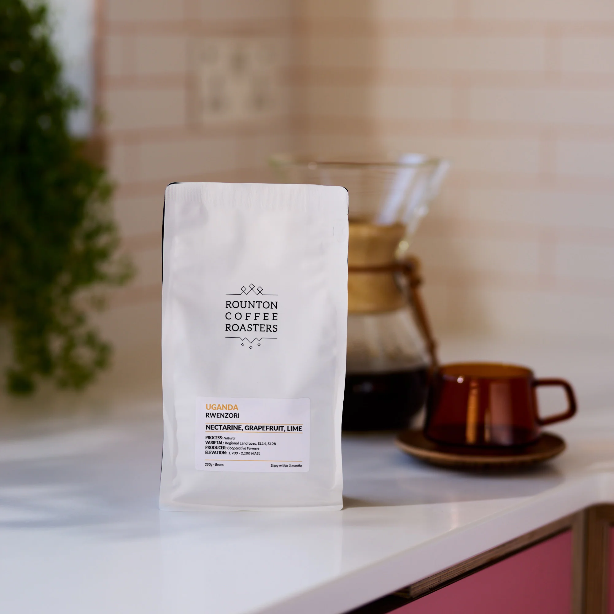 Rounton Coffee Rwenzori