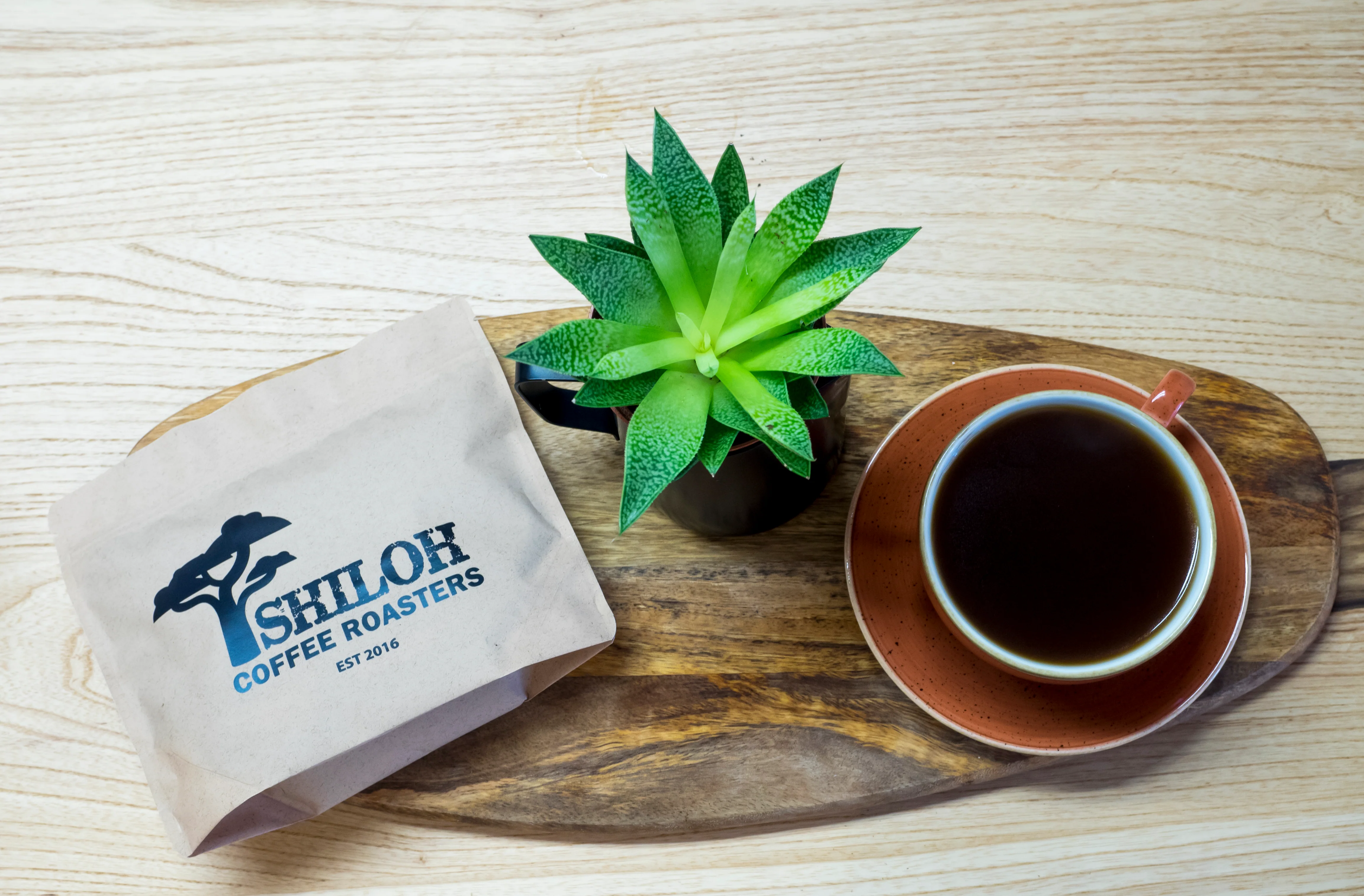Shiloh Coffee Roasters The Mines Blend