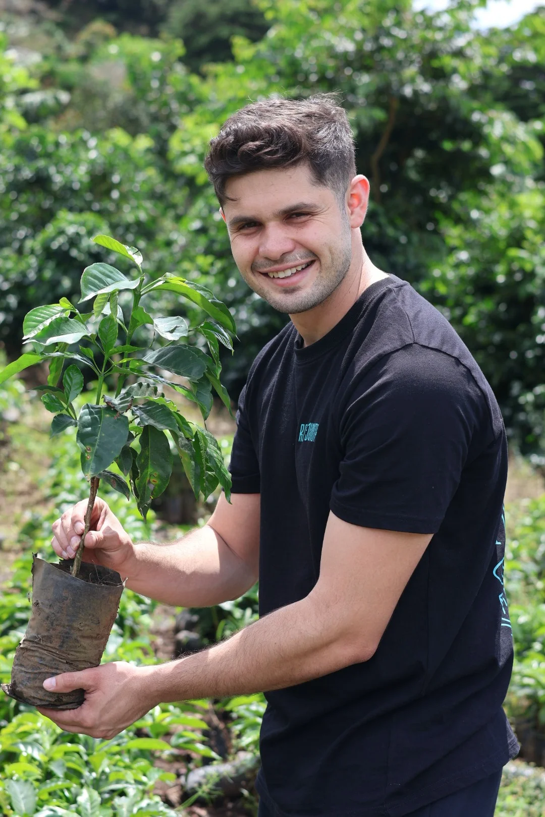 Shiloh Coffee Roasters Costa Rica