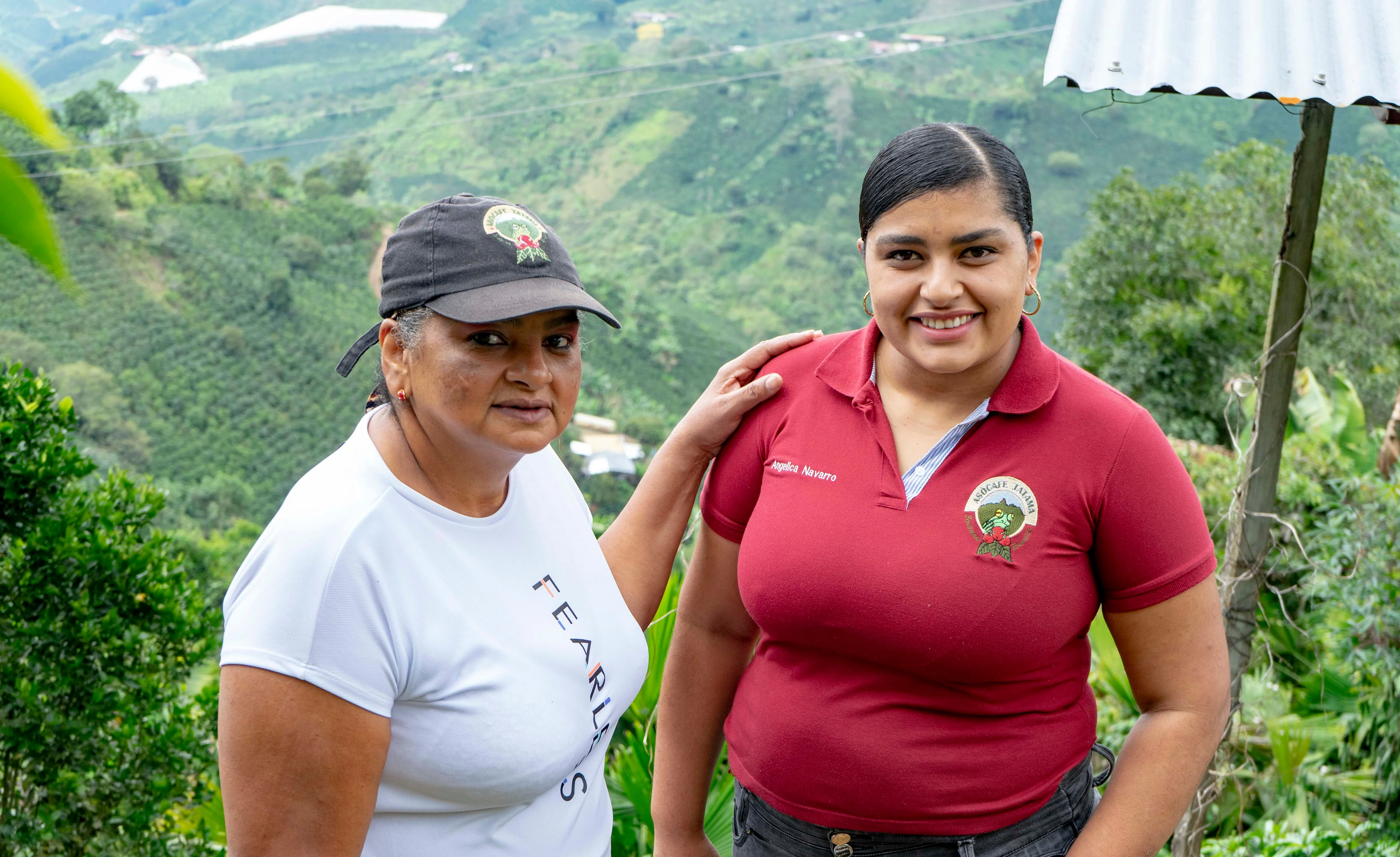 Colombia IMH Risaralda Decaf