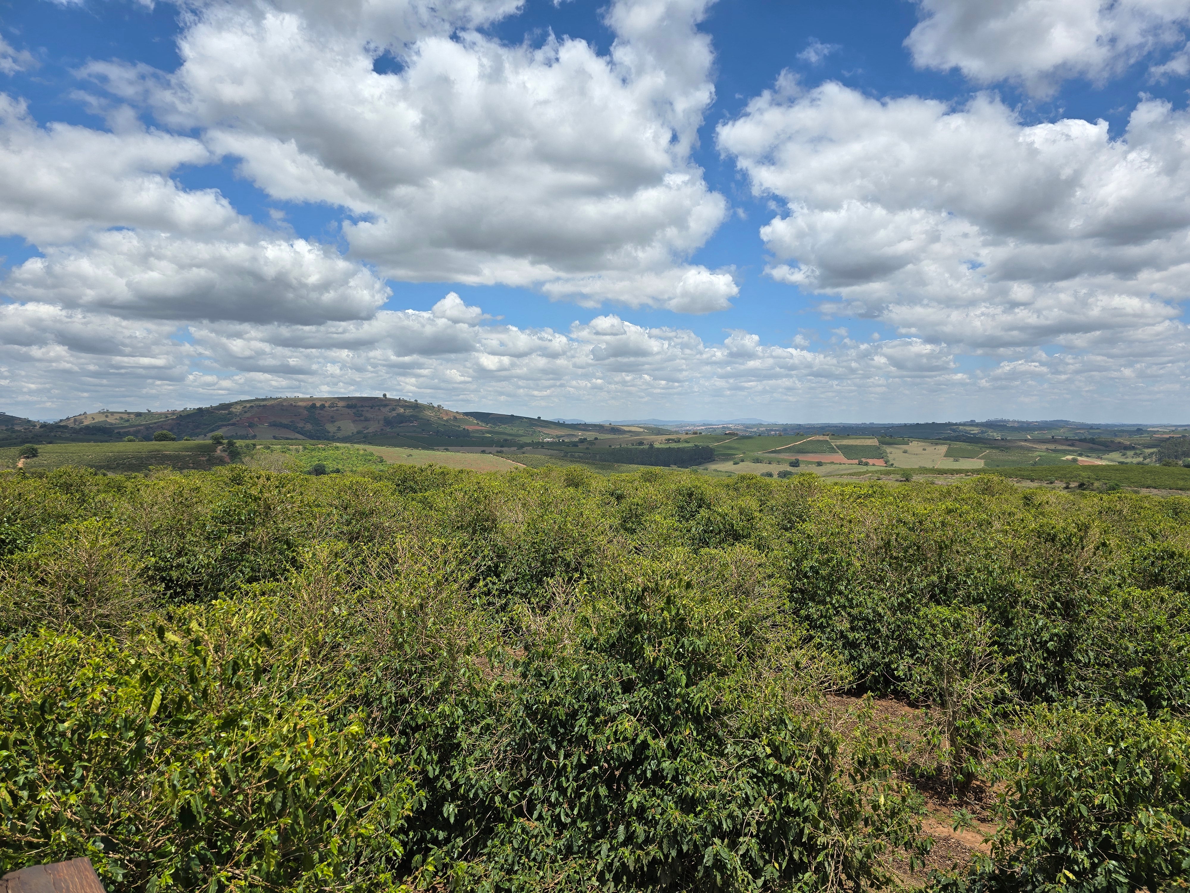 Brazil Isabela Lima Natural